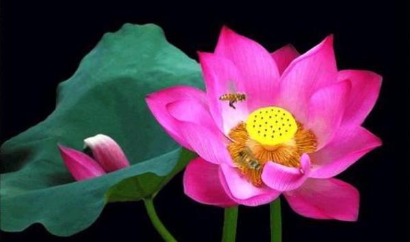 舜网 一个人落魄了，最怕的不是没钱，而是无法做到这4件事！