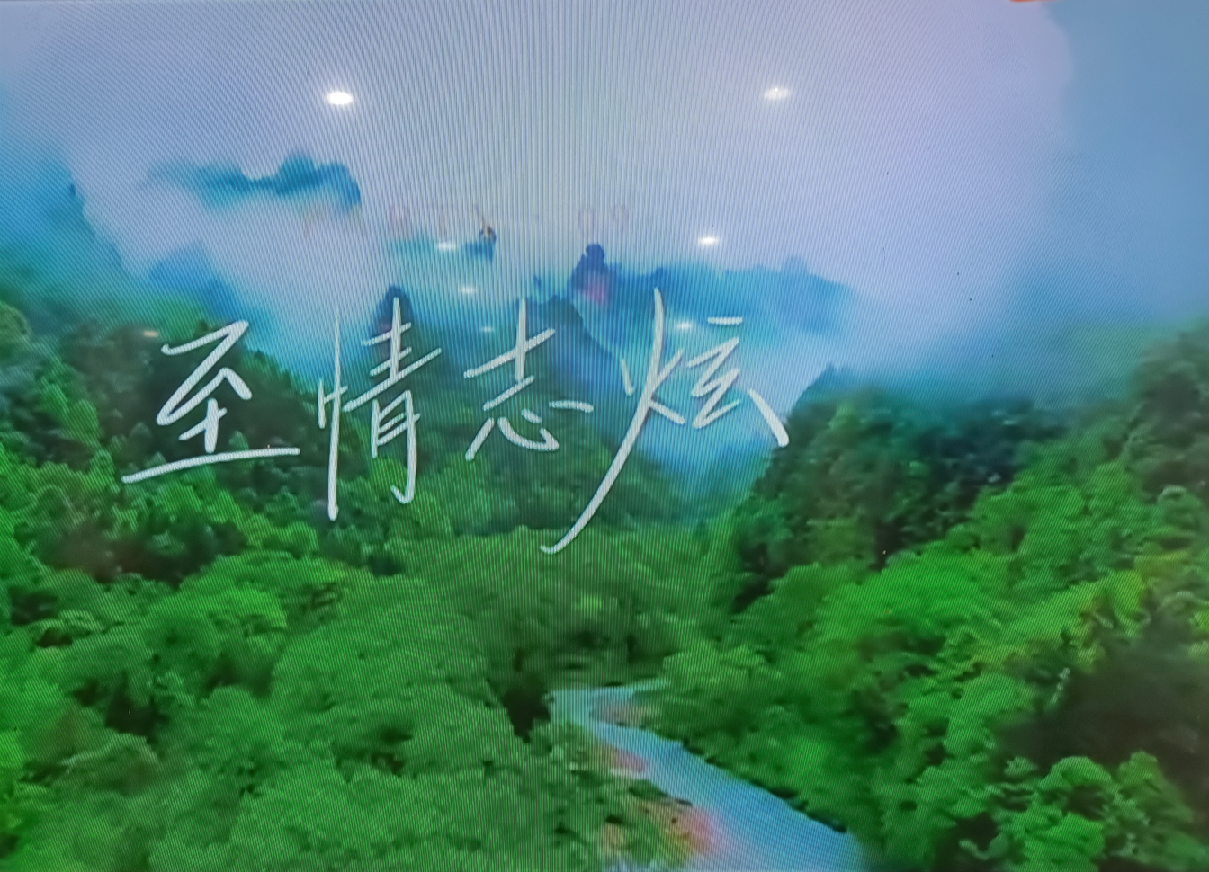 林志炫|《时光音乐会》,终于等到你,站在凤凰花开路口的林志炫