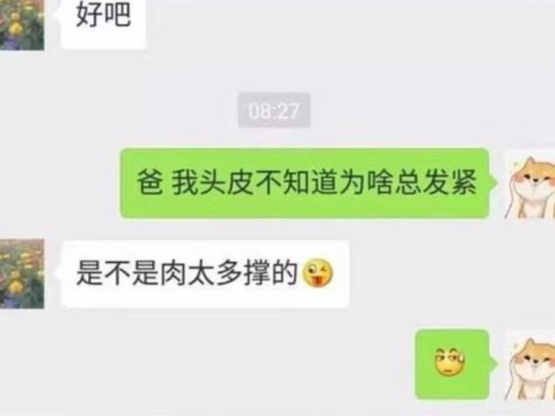 立言君 有个直男父亲是怎样的体验？怼人十级，父爱如“山体滑坡”