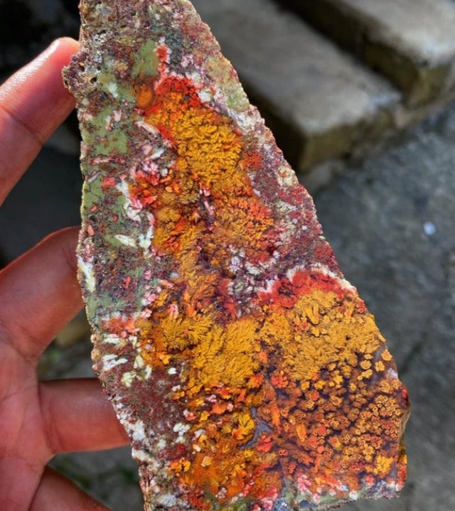 月球 拥有三条腿的男人是什么样子？11张罕见照片，让你“大开眼界”！