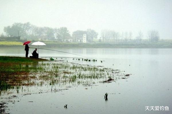 清明节|清明过后鱼更好钓，这些天气才是“爆护”良机，遇上了一定莫错过