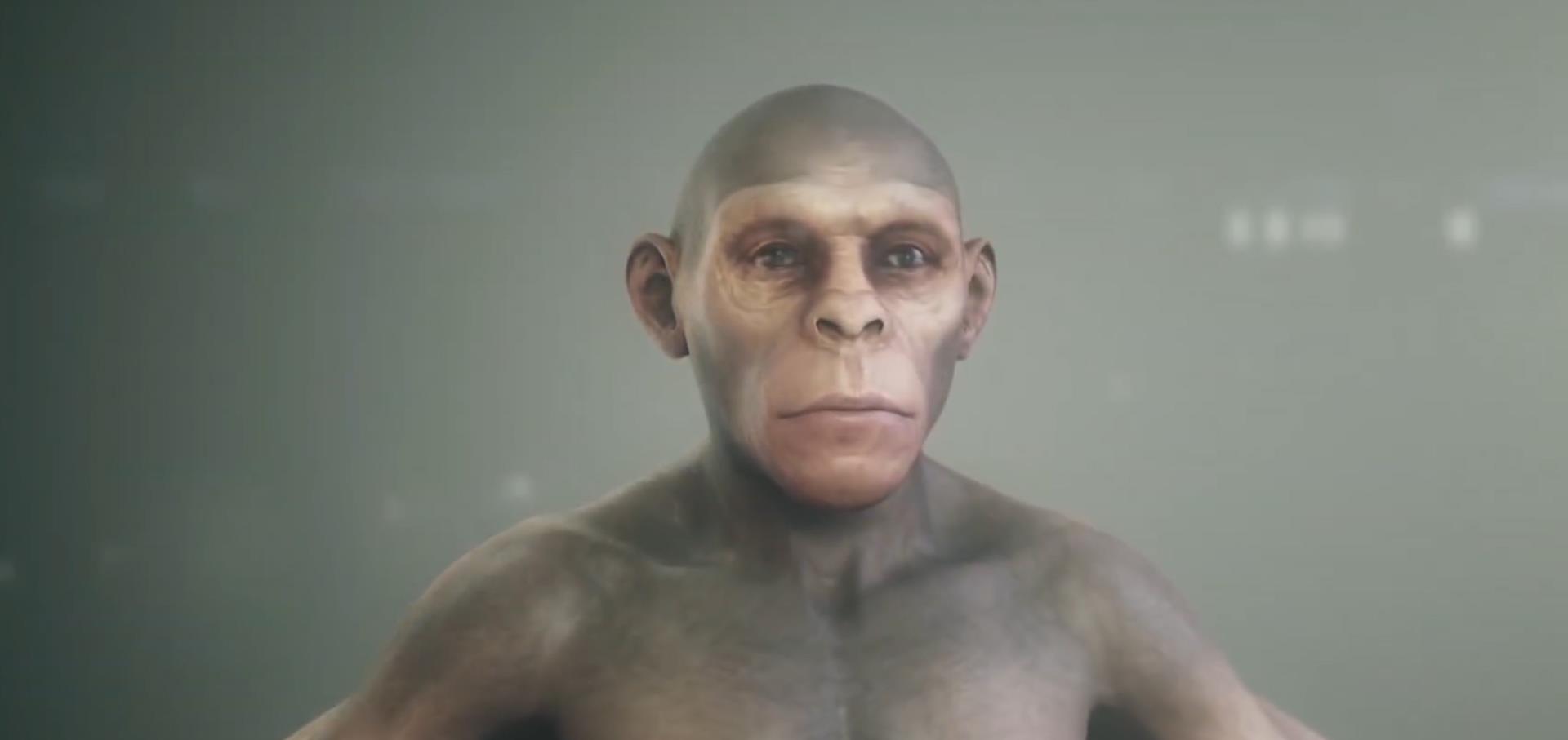 驼鹿 地球原本没有人类，人到底从哪里来？第一个原始人又是谁？