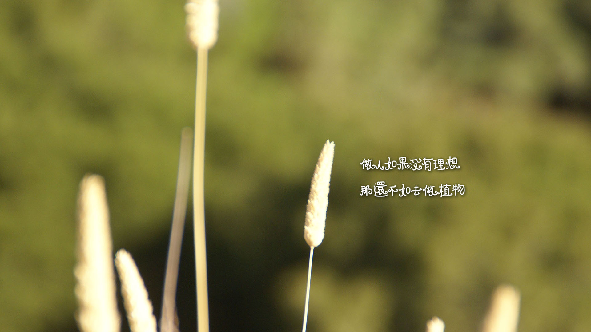遇见小媛|每一个不曾起舞的日子，都是对生命的辜负