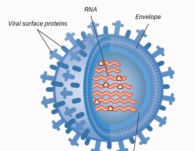 科学家 少女冰封500年，样子像睡着一样，找到原因后，科学家沸腾了