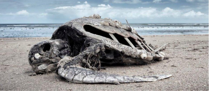 UFO 留给人类的时间还剩多少？1972年的可怕预言：人类只剩20年