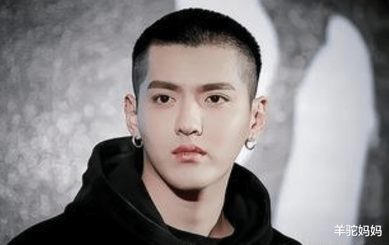 羊驼妈妈|“归国四子”性格差异大,原生家庭占主要原因,看现状便知谁幸运