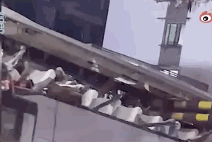 广西|广西一旅游大巴被限高架“削顶”，1死6伤！警方凌晨通报