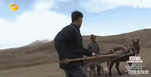 变形计|最成功“变形计”，王晨正为农村爷爷千里奔丧，街溜子变栋梁之才