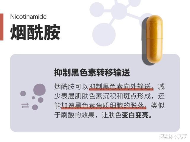 连衣裙|夏天晒的黑，冬天白回来！冬天是美白的最佳季节，美白干货来了