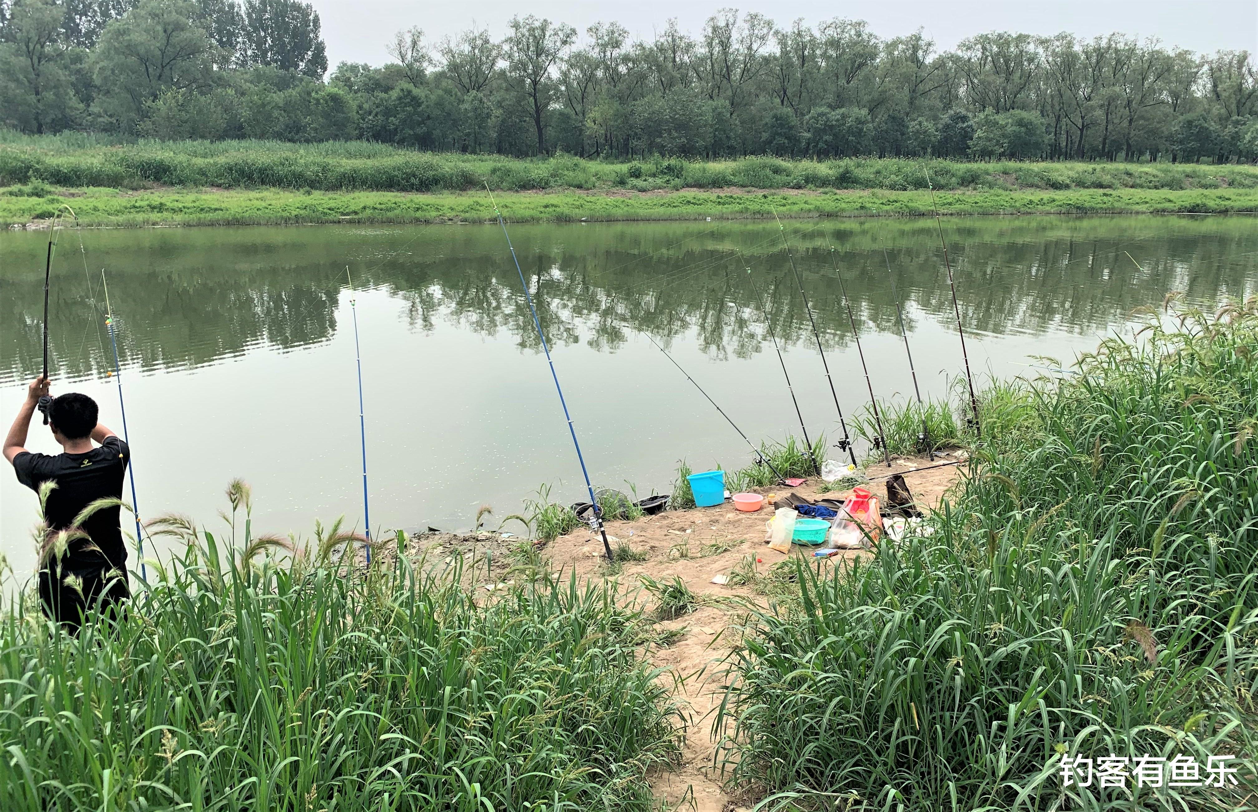 饵料|浮漂出现动作，一定是鱼在咬钩吗？光扬竿却不中鱼，原因在这里