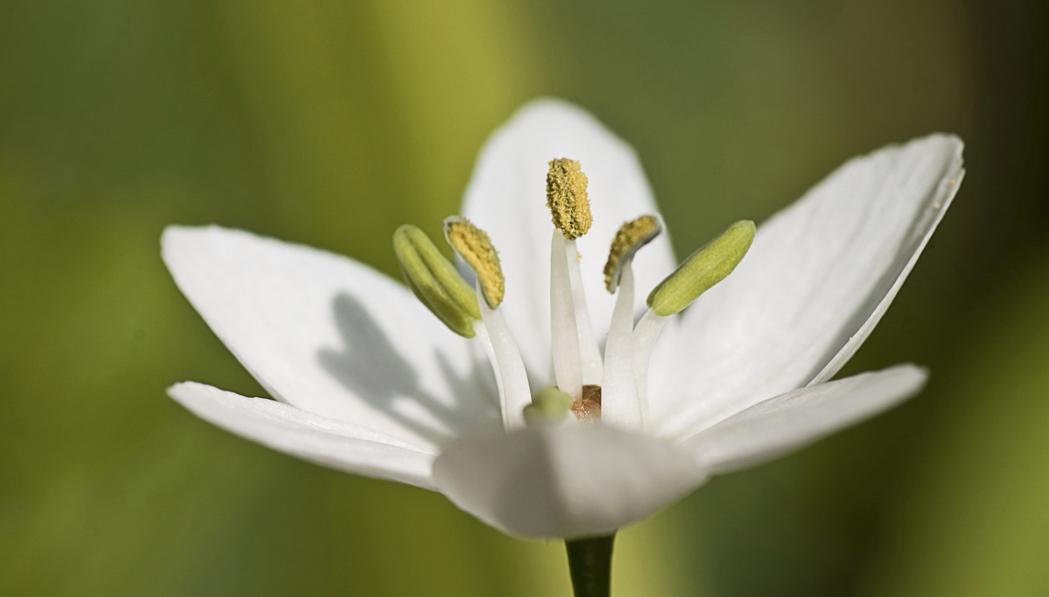 生肖|9月底，枯树生花，一往无前，浴火重生，3生肖财路通畅，财源滚滚