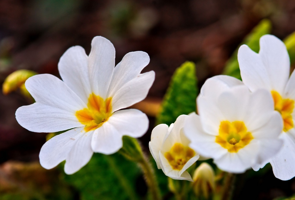 生肖夜读|7月底,运势上上签,财神爷眷顾,3生肖大把钞票进兜,生活多金多福