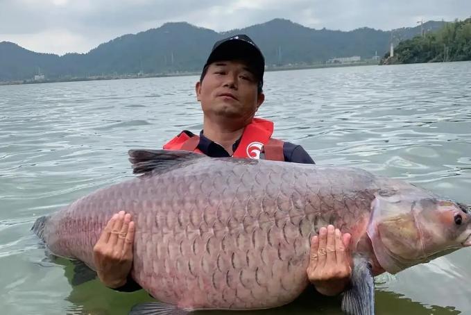 短视频|网红邓刚：凭借高超的钓鱼技术收获1000多万粉丝，成为网红黑马