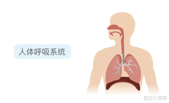 卖报大郎君 亲吻可能传播的4种疾病，很多人还不知道！