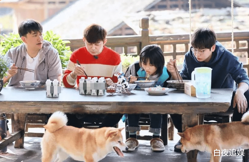 欢乐喜剧人|彭昱畅新节目官宣定档，《跑男》成员加盟，阵容丝毫不输《向往》