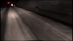 半岛晨报 这次路遇的是东北......豹！