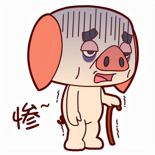 运动 “贾”的减肥日记第六天，入秋后居家怎么减肥？怎么运动呢？