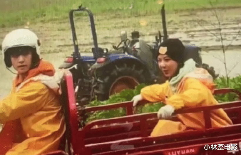 杨紫|杨紫和张艺兴真有猫腻？