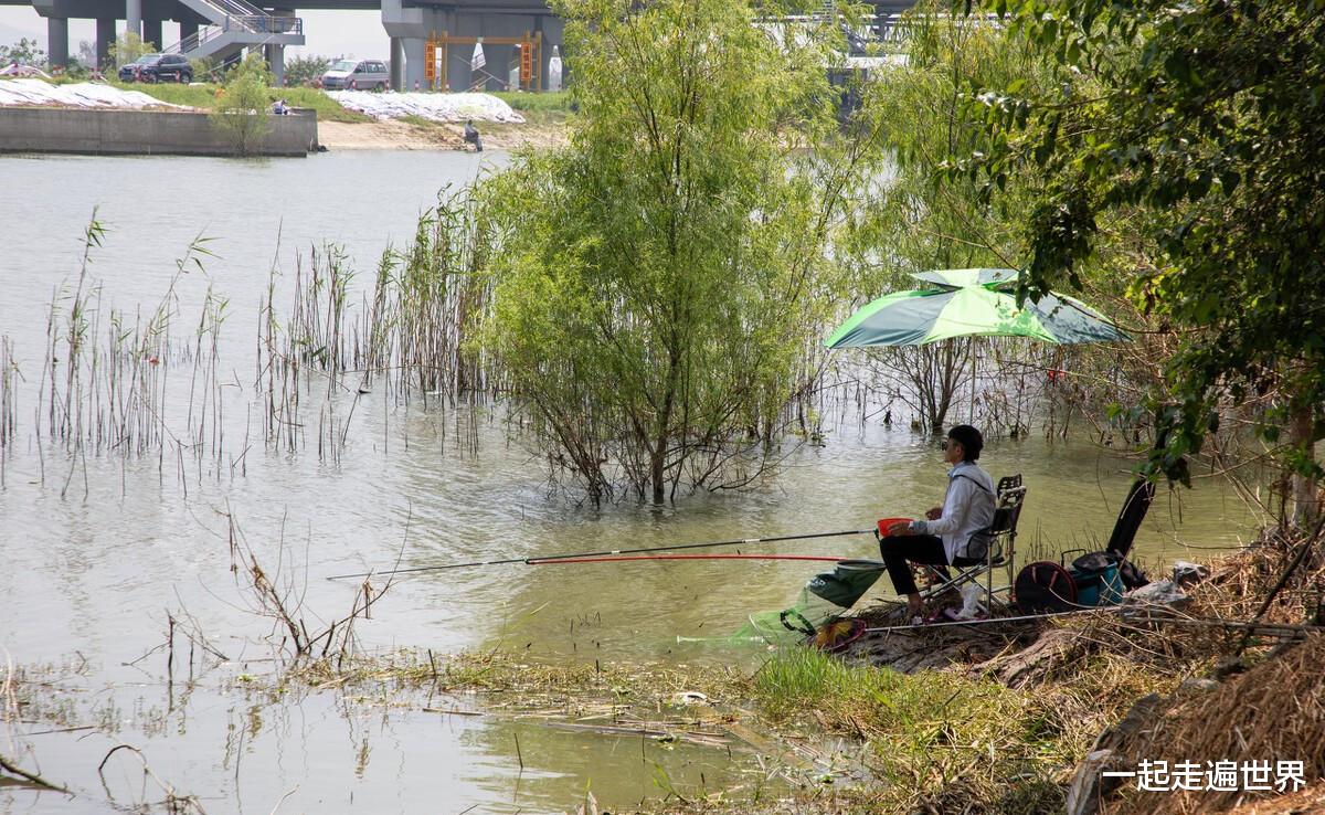 巢湖|安徽合肥：大巢湖，10年禁止垂钓