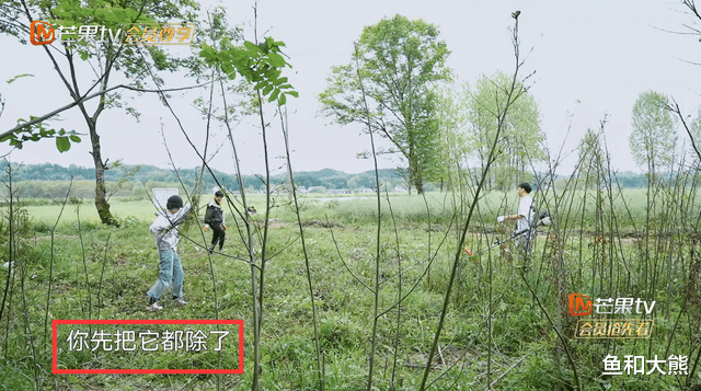 彭昱畅|彭昱畅有事缺席《向往5》录制，临走做两大贡献，张艺兴压力变小