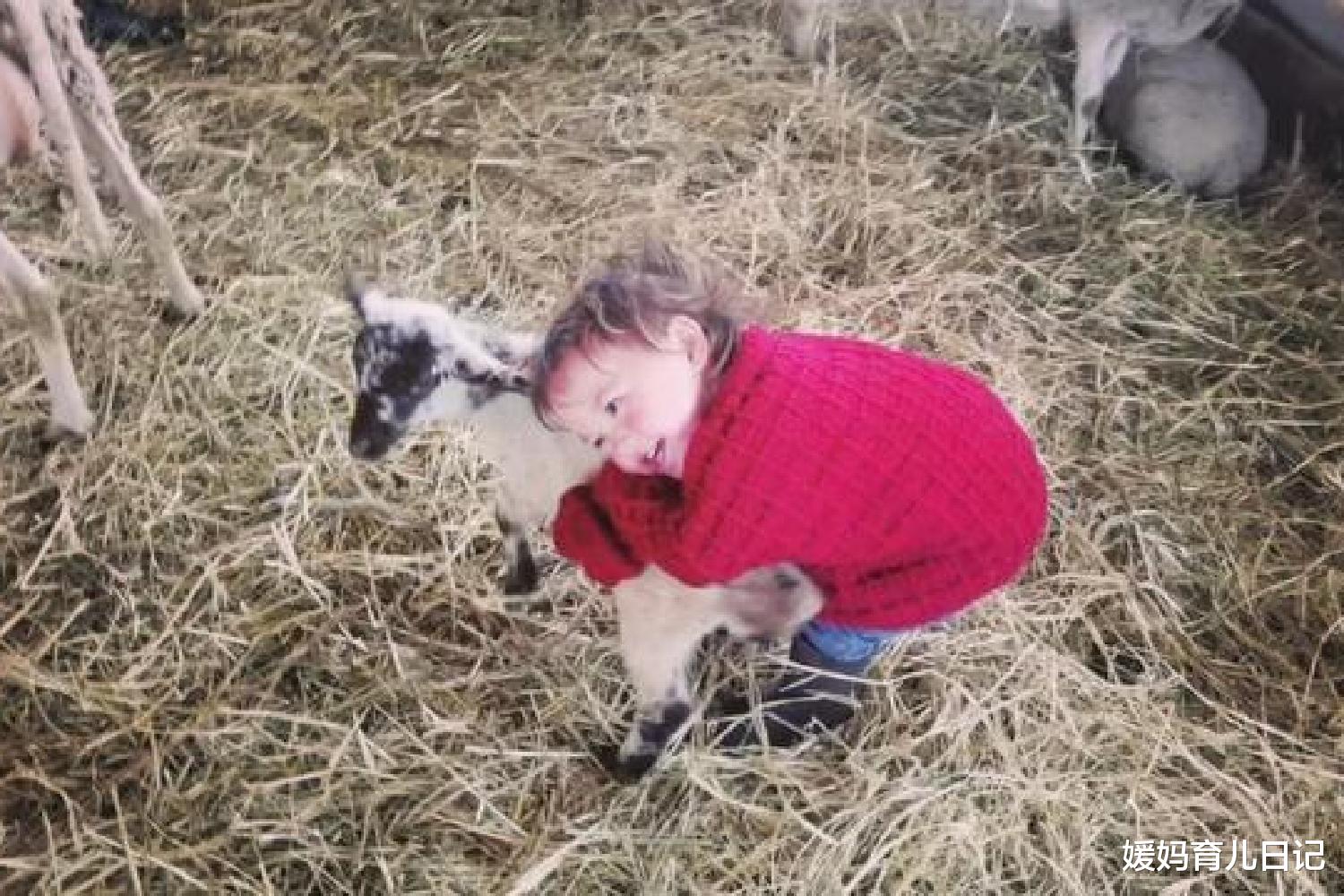 媛妈育儿日记|中国妈妈和法国爸爸，带一个月大的娃在荒野生活，两年后现状如何