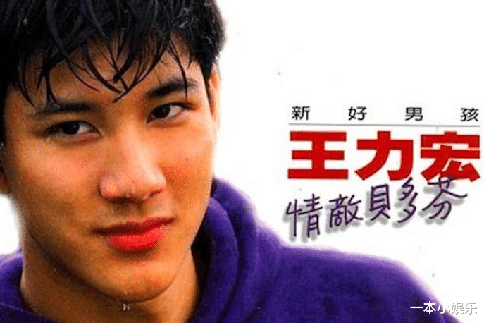 欧阳娜娜|王力宏给三胎儿子取名，一共5笔全是“横竖”，网友：不愧是学霸