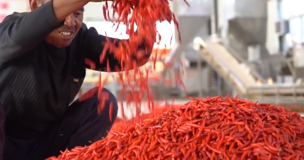 四面观察 大儿子房地产烂尾，小儿子偷换原料，老干妈的辣椒帝国还能撑多久