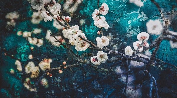 知一先生|虎年带柯字的男孩名字 柯用于男孩名怎么样