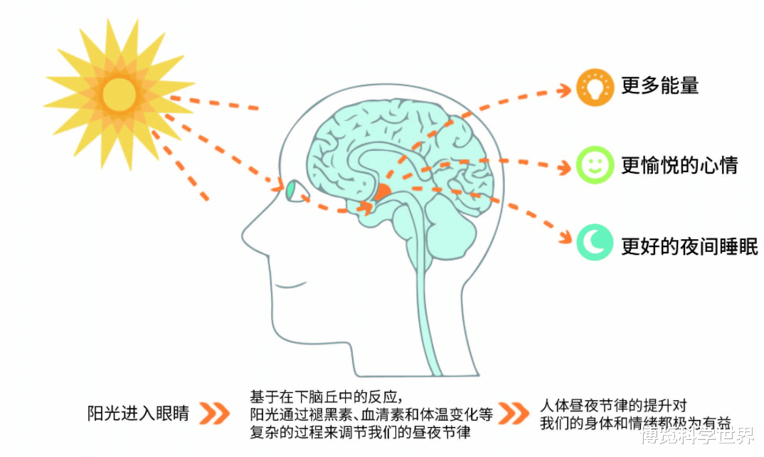 睡眠背后有何科学道理?如何保持科学作息时间?