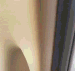 萌萌萌说|“刚钓了几条鱼，打算打个牙祭！”感觉评论区不妙啊！哈哈哈