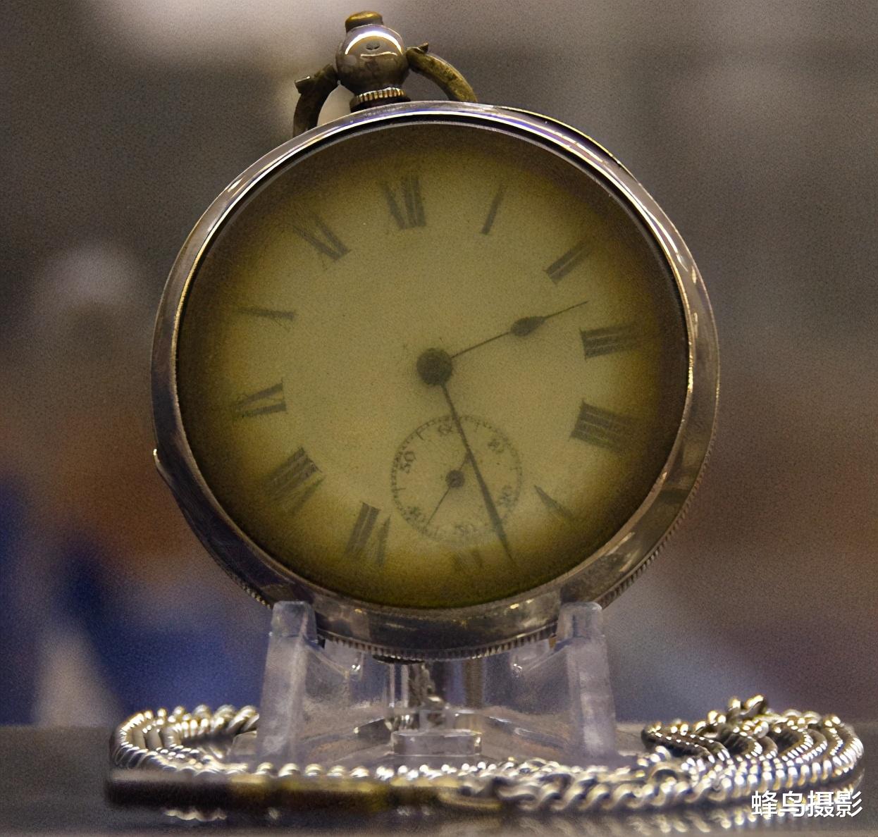 科学家 35张活久未见的照片，两只袋鼠打架太像人，一只勒住另一只大脖子