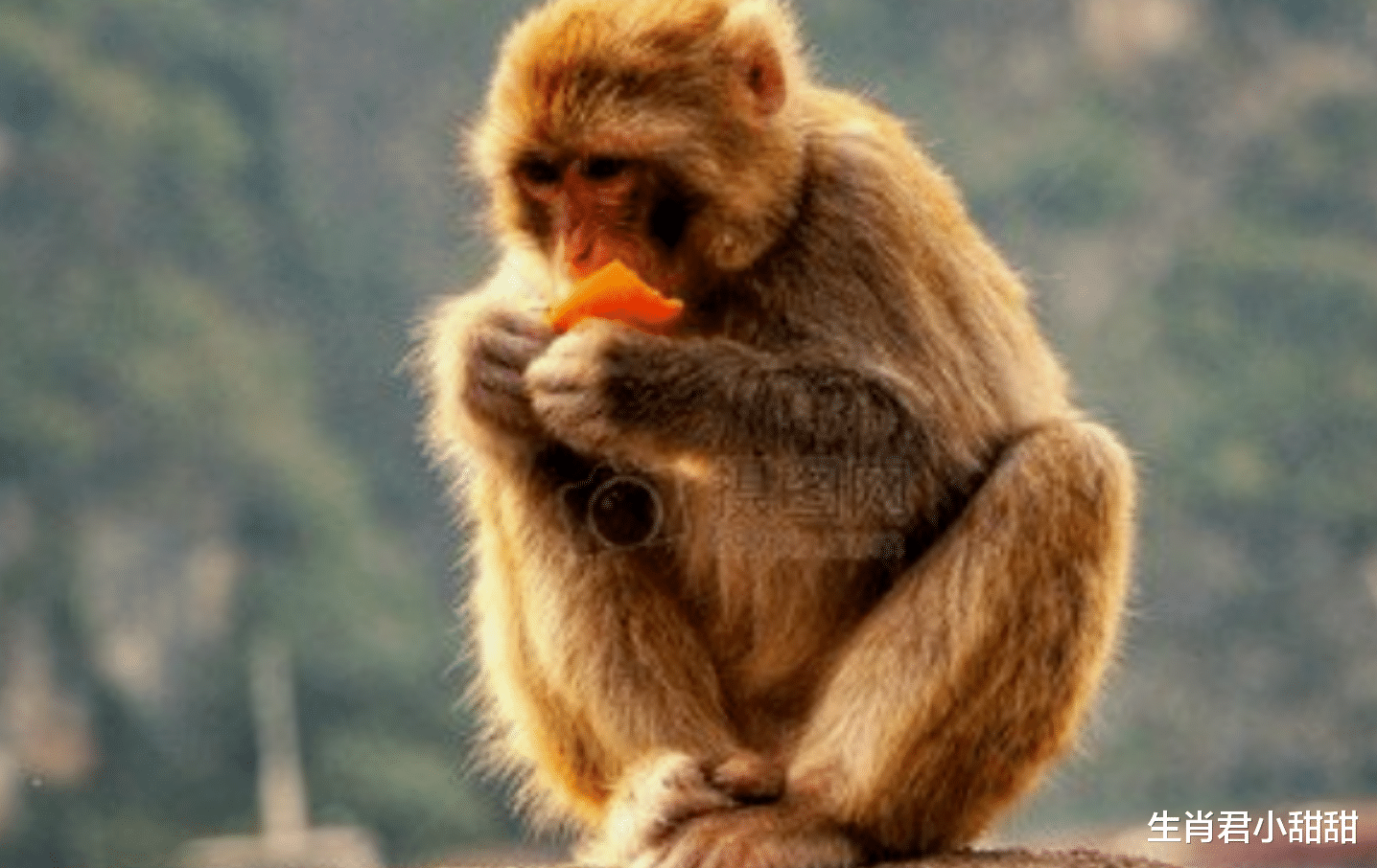 地下城与勇士|面带微笑笑脸相迎，属猴人能说会道，在职场中顺风顺水