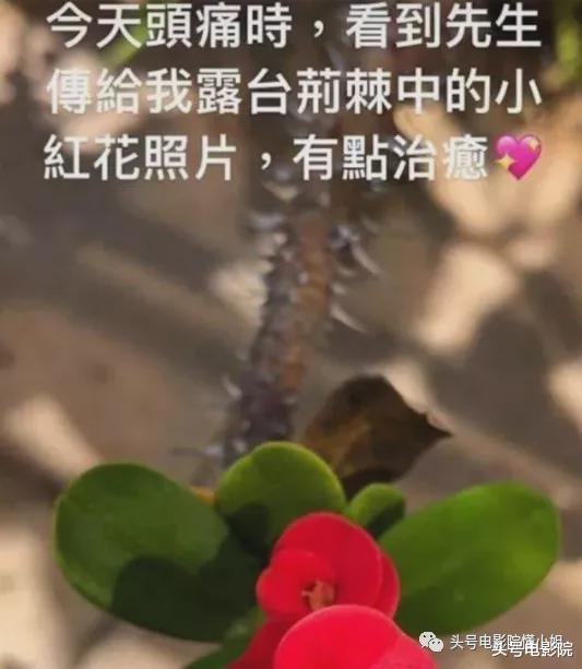 穆婷婷|53岁周慧敏1月失两爱猫，结婚12年无儿女，昔日小三逆袭生俩娃