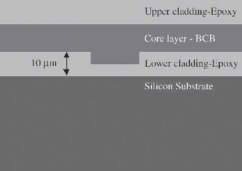 华林科纳聚合物光波导制备用于硅基板上的自旋涂层薄膜的界面粘合