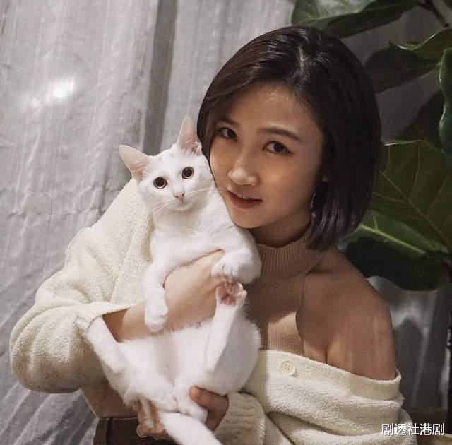 陈苑澄|恭喜！26岁TVB人气港姐宣布怀孕，不介意富二代丈夫离过婚