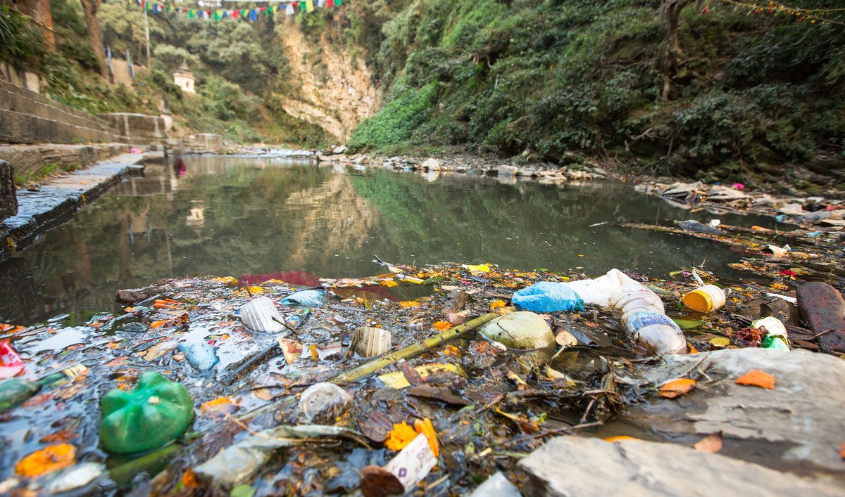 中国科学院 蜥蜴是典型的爬行动物，有哪些蜥蜴适合作为我们的宠物呢？