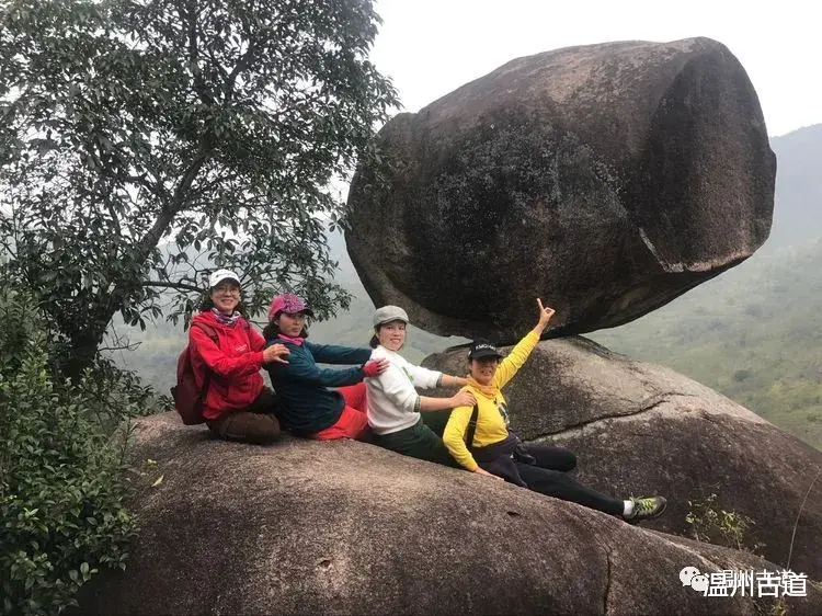 石林|这处温州高山奇石林立惟妙惟肖，仿佛走进童话里，你可去过？