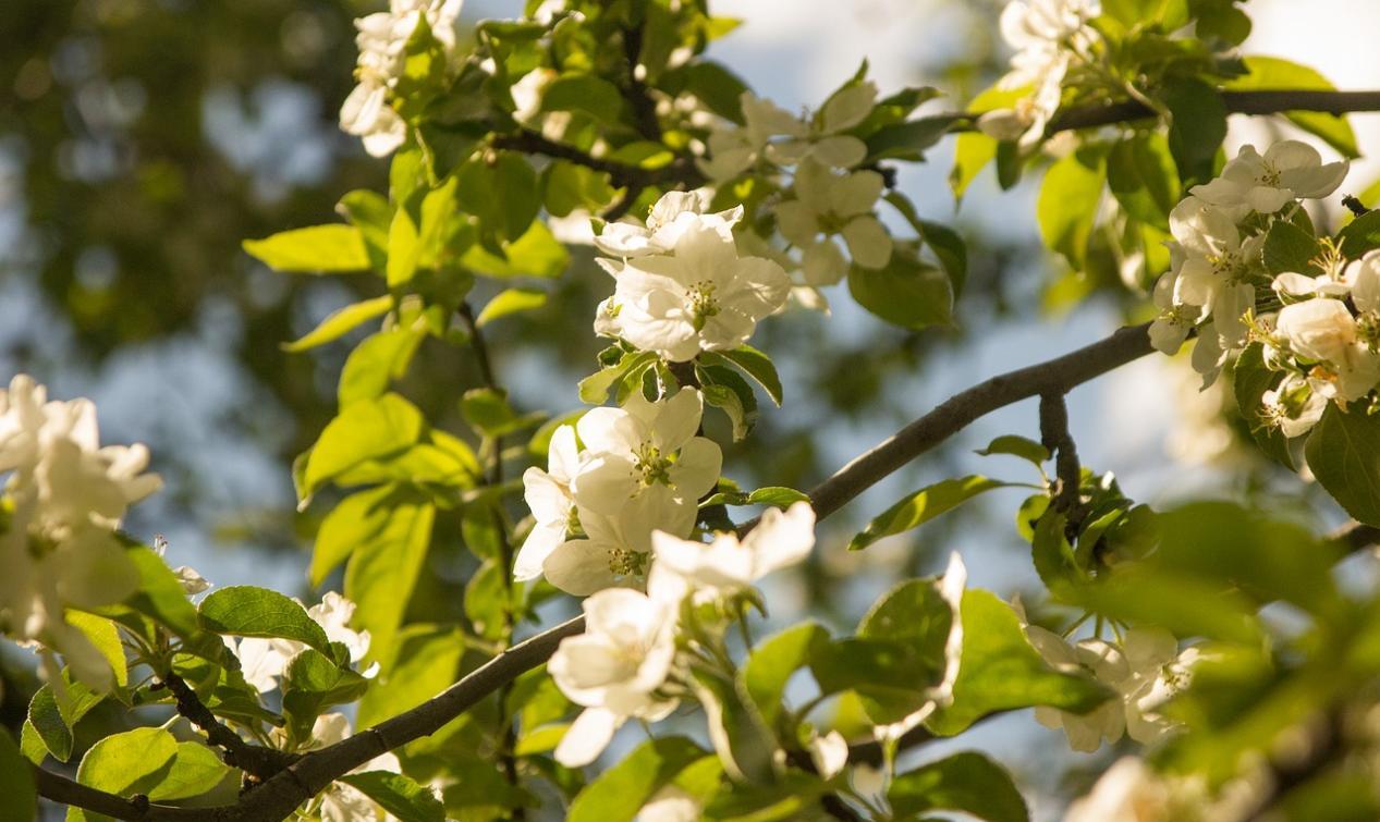 泪水迷失了双眼 性格外向内心孤独的星座，与每个人都很合得来，却无人能与之交心