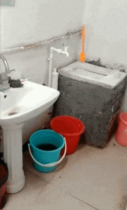 日本天皇|“日本天皇19岁独生女照片流出，这么有点像张大大呢！”哈哈哈