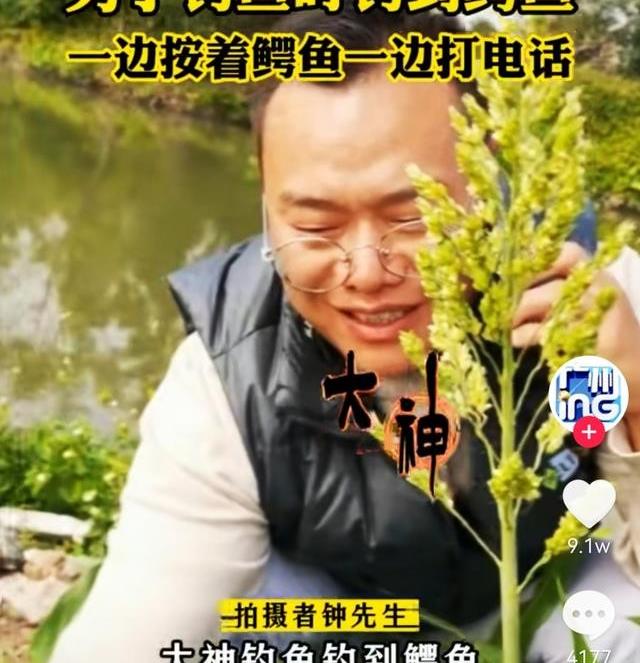 池塘|钓到鳄鱼还微笑拍照，广东男子冲上热搜！这些鳄鱼是从哪里来的？