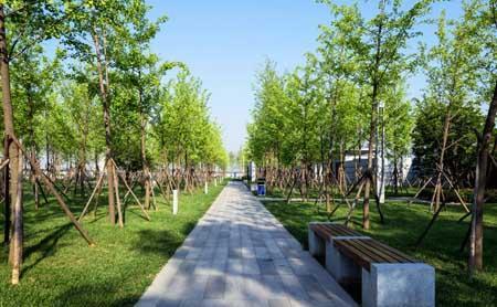 浣花的山房 耗资33亿！西安在建超大生态园，占地达1700亩，有望成当地新坐标