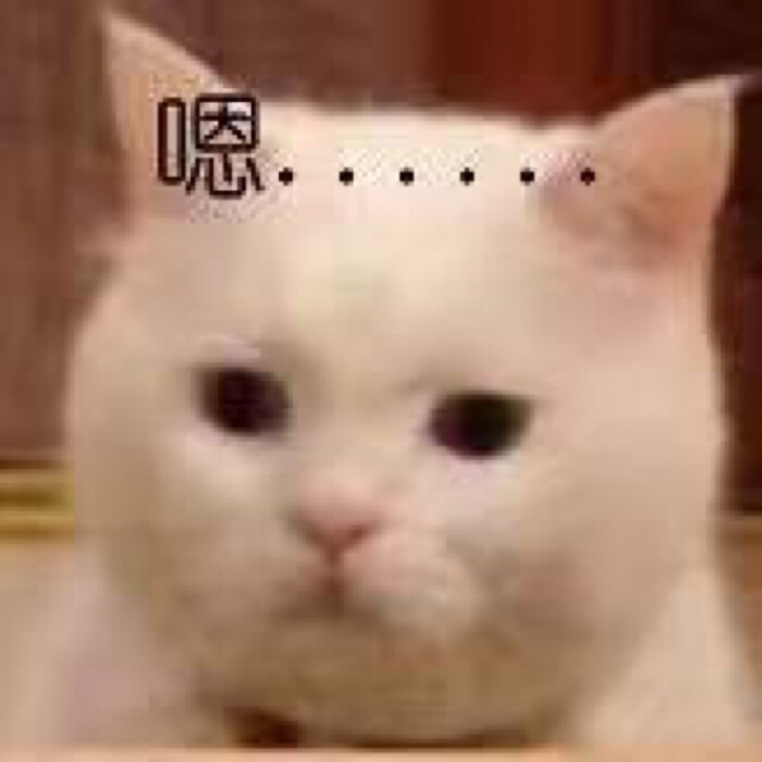 95后港大硕士在剑三行骗几千元,是一念之差还是贪婪成性?