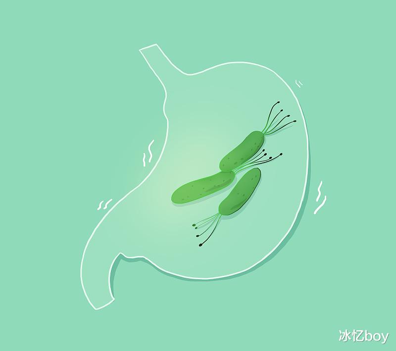 新陈代谢|治“幽”有方， 常喝1“水”，赶走幽门菌，消除口臭