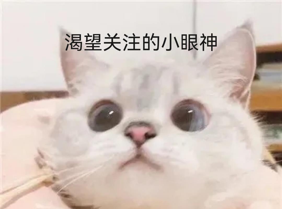 鹿晗|鹿晗红秀12周年封面，直接封神