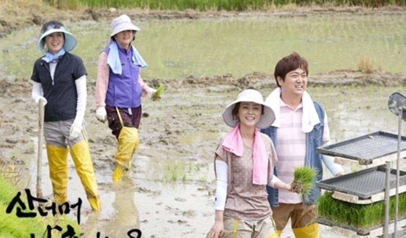 金灿宇|《顺风妇产科》“意灿爸爸”，金灿宇52岁还没结婚