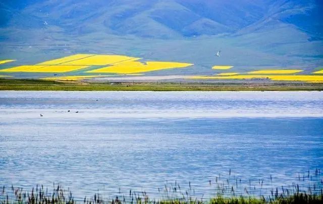 旅行 20个值得去的国内旅行地，去过7个的堪称旅行达人