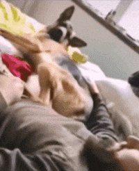 萌控孩|“从爷爷床底下发现的,这到底值不值钱啊?”哈哈哈感觉自己要发财了啊