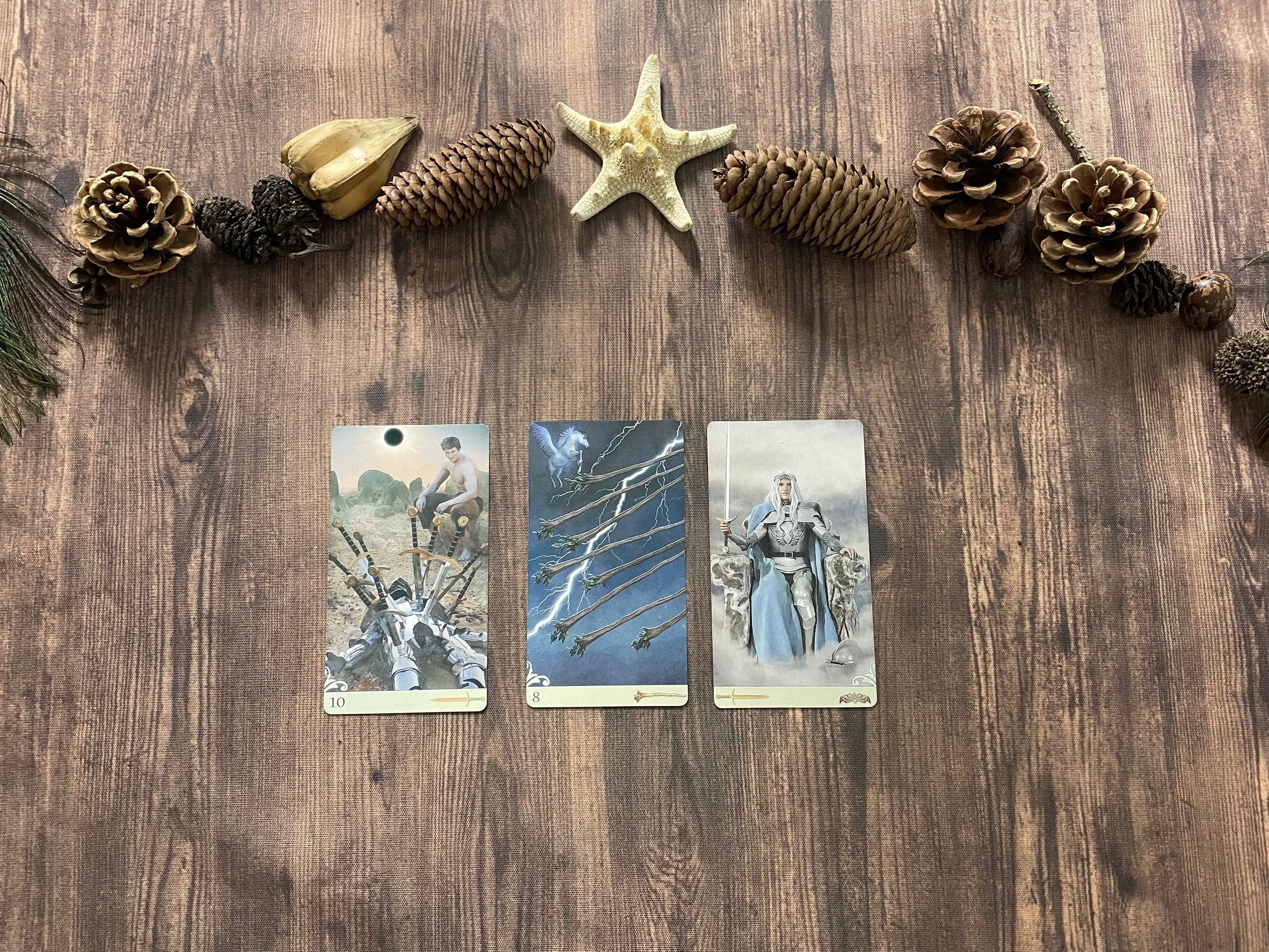 花梦塔罗|花梦塔罗:处女座下周会恋爱吗?把你放进恋爱规划,你值得他让步