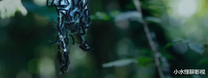 云南虫谷|《鬼吹灯之云南虫谷》，五大看点，先睹为快！