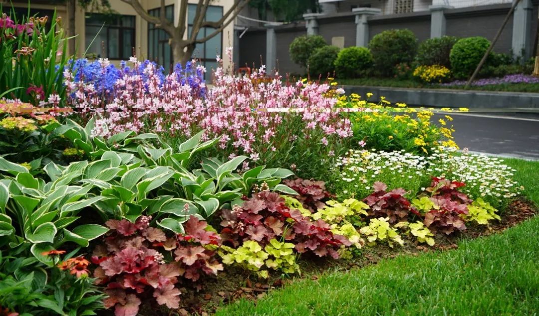 打造一块花境需要注意些什么?花境设计要求有哪些?